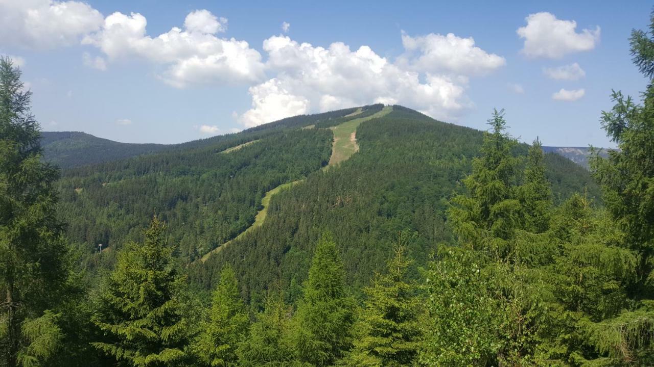 Apartman Medvědín 306 Špindlerŭv Mlýn Exterior foto